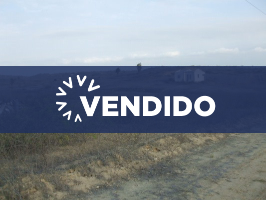Concluido